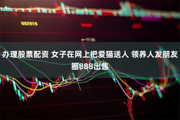 办理股票配资 女子在网上把爱猫送人 领养人发朋友圈888出售